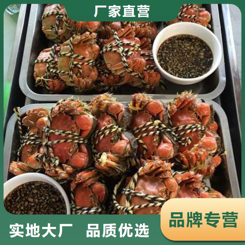 阳澄湖大闸蟹视频-新邱|太平|鞍山|营口|辽阳|铁岭|沈阳|本溪顾记阳澄湖大闸蟹_ 阳澄湖镇岛顾记大闸蟹经营部(阜新市分公司)