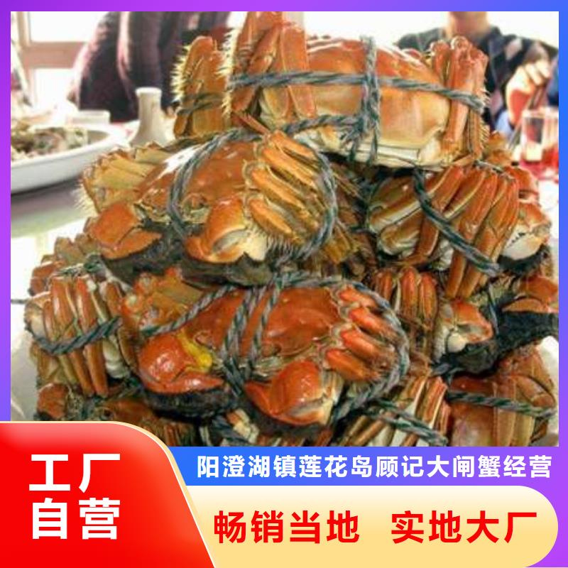 阳澄湖大闸蟹视频-阳澄湖大闸蟹-阳澄湖镇岛顾记大闸蟹经营部(阿里市分公司)服务区域扎达|措勤|拉萨|昌都|林芝|那曲|日喀则