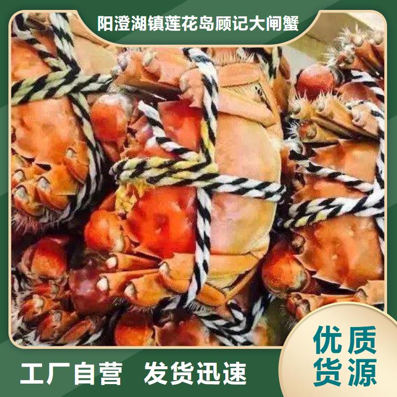 阳澄湖大闸蟹视频-阳澄湖大闸蟹-安徽省巢湖市周边货源-淮北|铜陵|黄山|六安