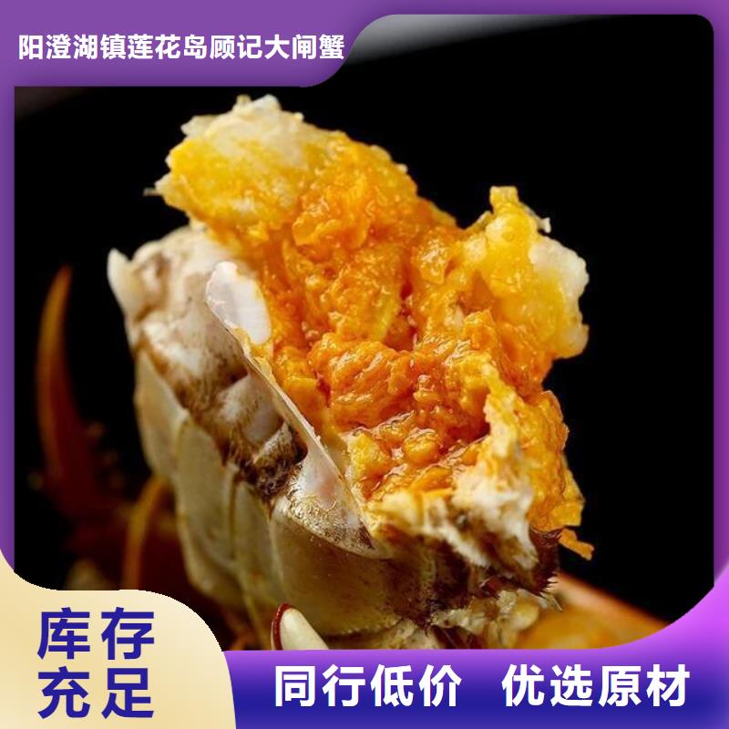 阳澄湖大闸蟹视频-新邱|太平|鞍山|营口|辽阳|铁岭|沈阳|本溪顾记阳澄湖大闸蟹_ 阳澄湖镇岛顾记大闸蟹经营部(阜新市分公司)