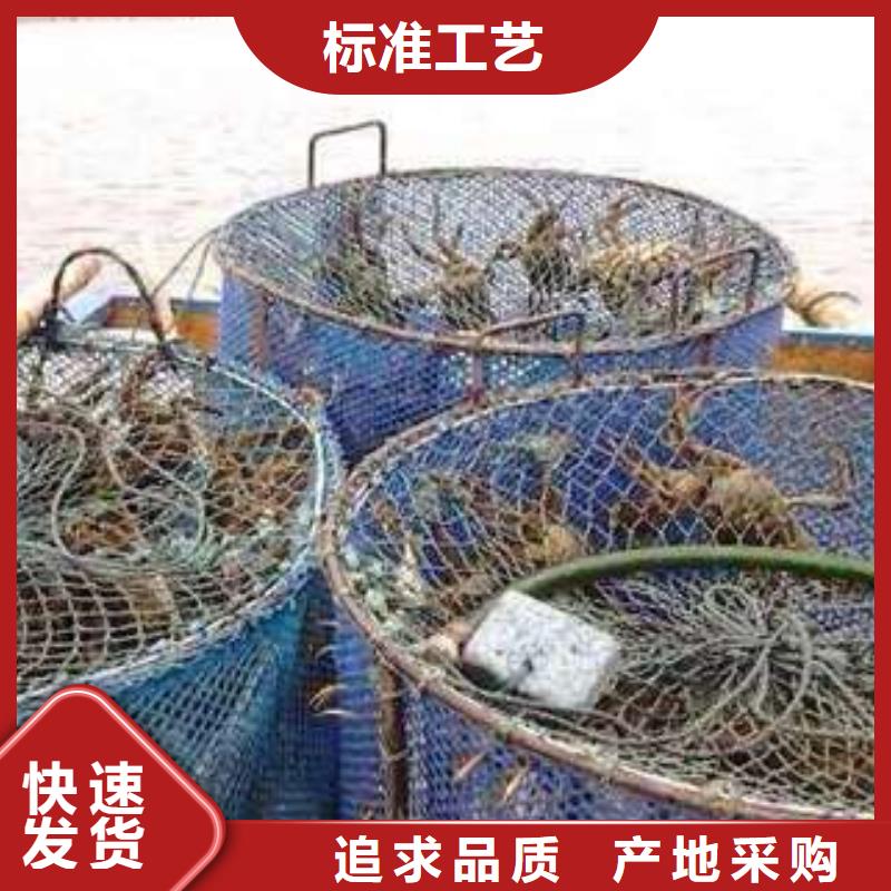 阳澄湖大闸蟹视频-海林|东宁|绥化|哈尔滨|齐齐哈尔|鹤岗阳澄湖大闸蟹品质之选-阳澄湖镇岛顾记大闸蟹经营部(牡丹江市分公司)