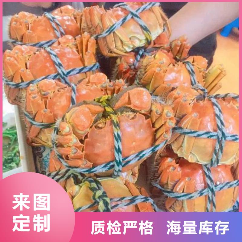 阳澄湖大闸蟹视频-阳澄湖大闸蟹(顾记)覆盖地域直辖天津市西青|武清|北辰|津南