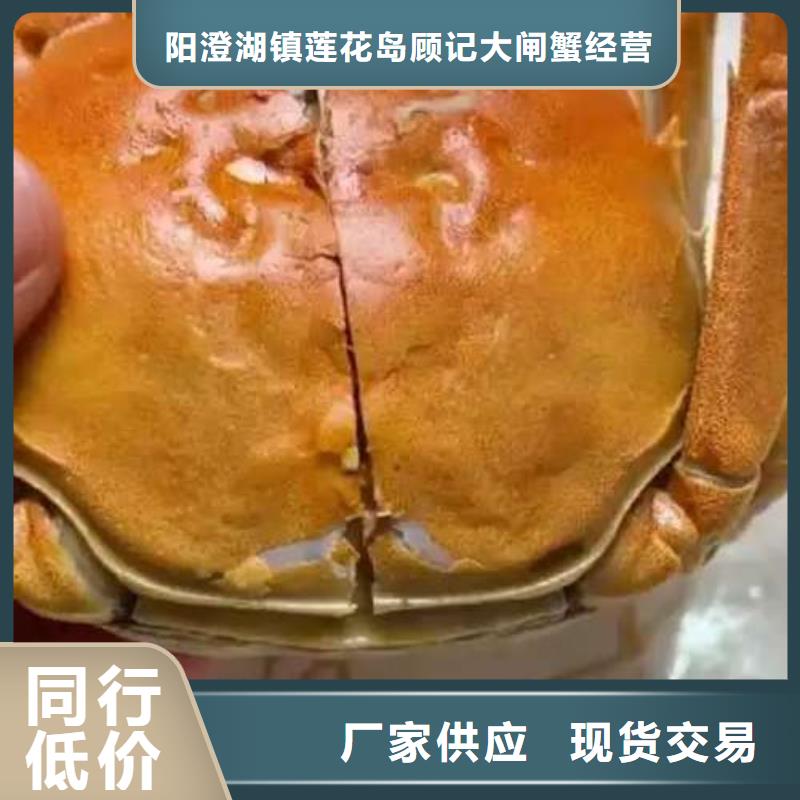 阳澄湖大闸蟹视频-阳澄湖大闸蟹(顾记)覆盖地域直辖天津市西青|武清|北辰|津南
