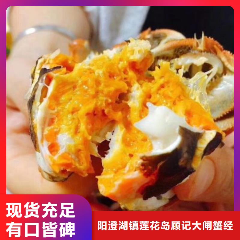 阳澄湖大闸蟹视频-海林|东宁|绥化|哈尔滨|齐齐哈尔|鹤岗阳澄湖大闸蟹品质之选-阳澄湖镇岛顾记大闸蟹经营部(牡丹江市分公司)