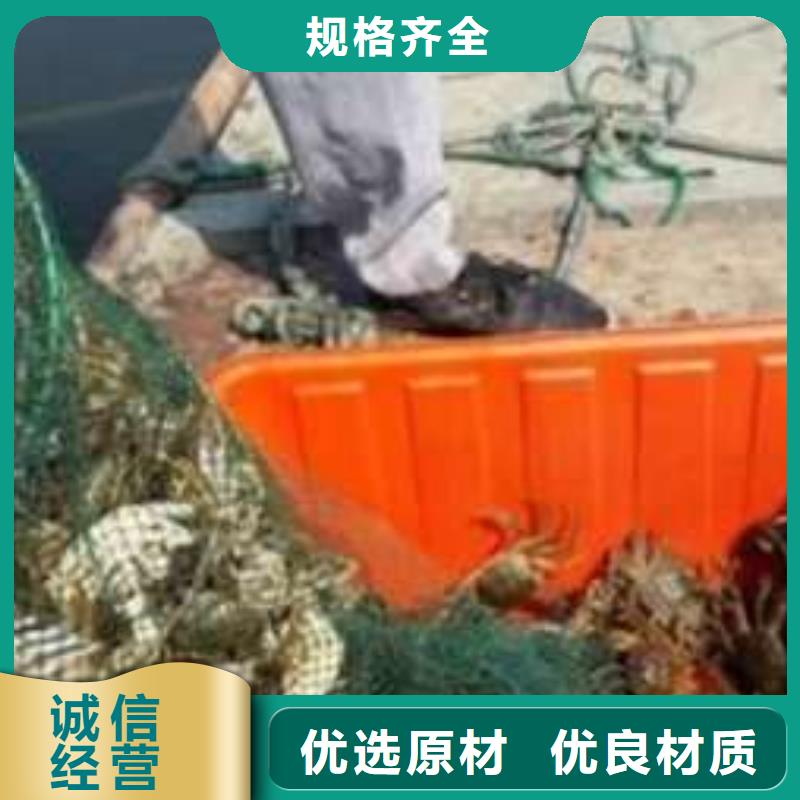 阳澄湖大闸蟹视频-海林|东宁|绥化|哈尔滨|齐齐哈尔|鹤岗阳澄湖大闸蟹品质之选-阳澄湖镇岛顾记大闸蟹经营部(牡丹江市分公司)
