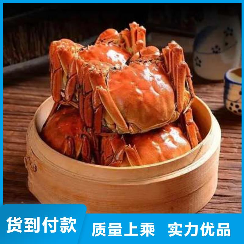 阳澄湖大闸蟹视频-海林|东宁|绥化|哈尔滨|齐齐哈尔|鹤岗阳澄湖大闸蟹品质之选-阳澄湖镇岛顾记大闸蟹经营部(牡丹江市分公司)