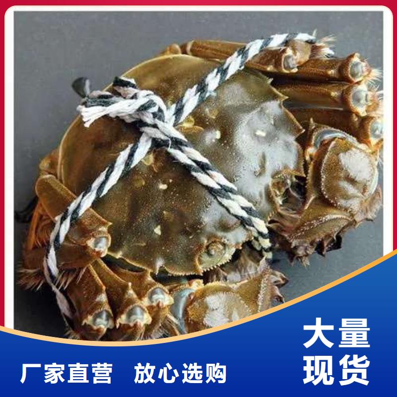 阳澄湖大闸蟹视频-阳澄湖大闸蟹|西藏林芝市|墨脱|波密|山南|那曲|日喀则|阿里|拉萨|昌都