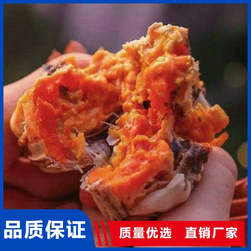 阳澄湖大闸蟹视频-山东省青岛市|莱西|胶州|菏泽|莱芜|泰安|日照|淄博|济宁阳澄湖大闸蟹-顾记