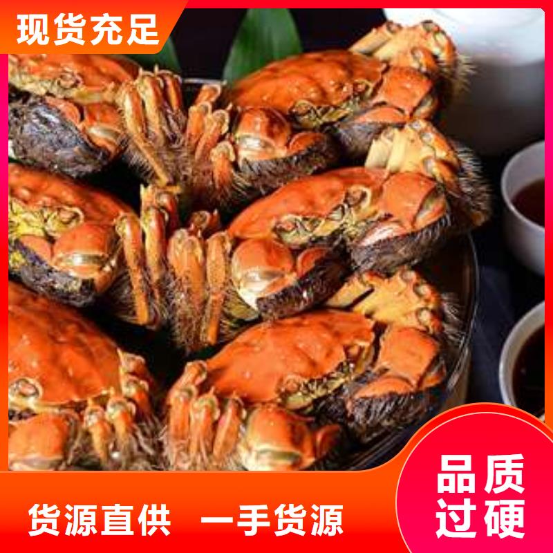 阳澄湖大闸蟹视频-山东省青岛市|莱西|胶州|菏泽|莱芜|泰安|日照|淄博|济宁阳澄湖大闸蟹-顾记