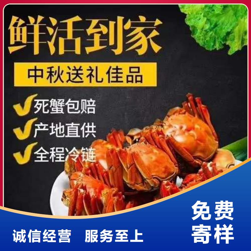 阳澄湖大闸蟹视频-阳澄湖大闸蟹-阳澄湖镇岛顾记大闸蟹经营部(张掖市分公司)服务区域甘州|山丹|兰州|定西|白银|陇南|庆阳|嘉峪关