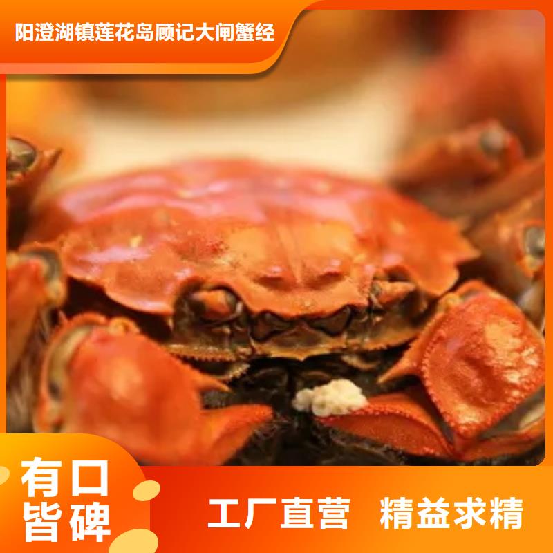 阳澄湖大闸蟹视频-阳澄湖大闸蟹-阳澄湖镇岛顾记大闸蟹经营部(阿里市分公司)服务区域扎达|措勤|拉萨|昌都|林芝|那曲|日喀则