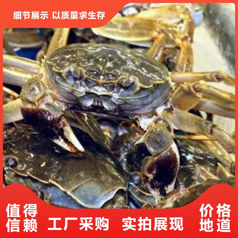 阳澄湖大闸蟹视频-阳澄湖大闸蟹-安徽省巢湖市周边货源-淮北|铜陵|黄山|六安