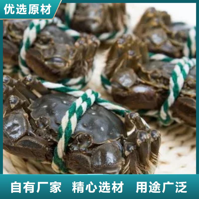 阳澄湖大闸蟹视频-阳澄湖大闸蟹(顾记)覆盖地域直辖天津市西青|武清|北辰|津南