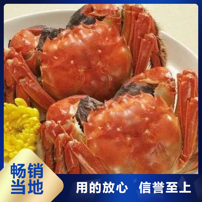 阳澄湖大闸蟹视频-阳澄湖大闸蟹(顾记)覆盖地域直辖天津市西青|武清|北辰|津南