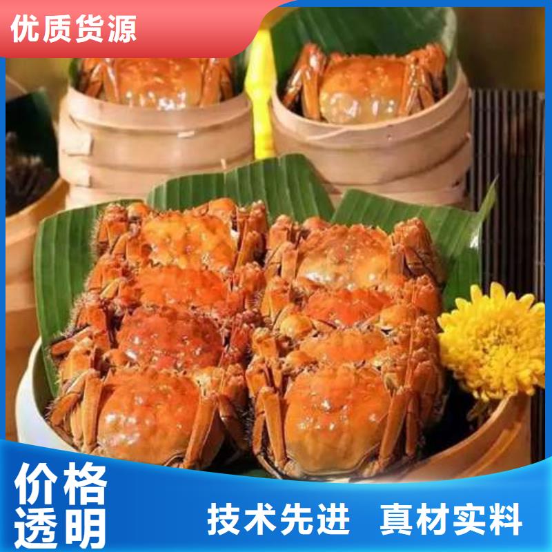 阳澄湖大闸蟹视频-山东省青岛市|莱西|胶州|菏泽|莱芜|泰安|日照|淄博|济宁阳澄湖大闸蟹-顾记