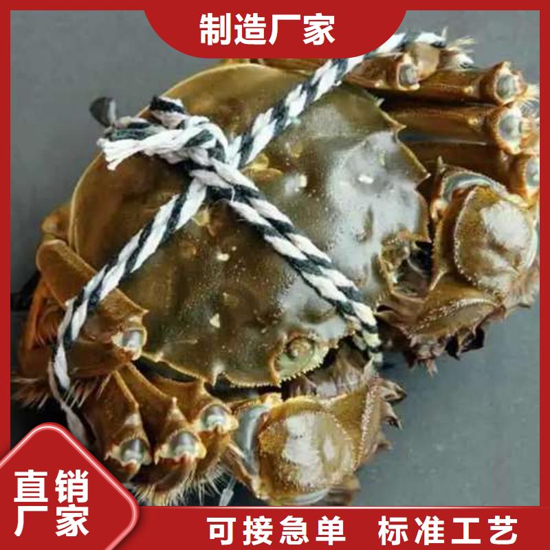 阳澄湖大闸蟹视频-阳澄湖大闸蟹-直辖北京市【同城】制造商-顺义|昌平|东城|大兴