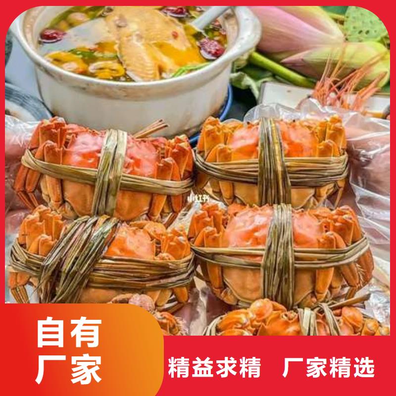 阳澄湖大闸蟹视频-阳澄湖大闸蟹-阳澄湖镇岛顾记大闸蟹经营部(阿里市分公司)服务区域扎达|措勤|拉萨|昌都|林芝|那曲|日喀则
