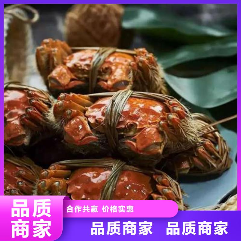阳澄湖大闸蟹视频-新邱|太平|鞍山|营口|辽阳|铁岭|沈阳|本溪顾记阳澄湖大闸蟹_ 阳澄湖镇岛顾记大闸蟹经营部(阜新市分公司)