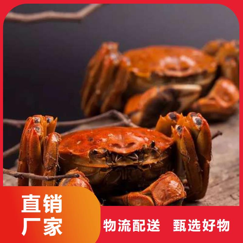 阳澄湖大闸蟹视频-山东省青岛市|莱西|胶州|菏泽|莱芜|泰安|日照|淄博|济宁阳澄湖大闸蟹-顾记