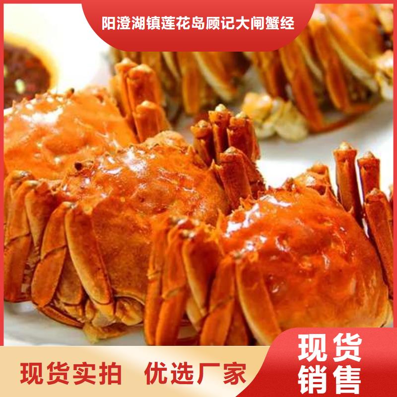 阳澄湖大闸蟹视频-阳澄湖大闸蟹-直辖北京市【同城】制造商-顺义|昌平|东城|大兴