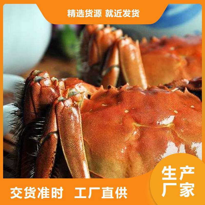 阳澄湖大闸蟹视频-阳澄湖大闸蟹|西藏林芝市|墨脱|波密|山南|那曲|日喀则|阿里|拉萨|昌都