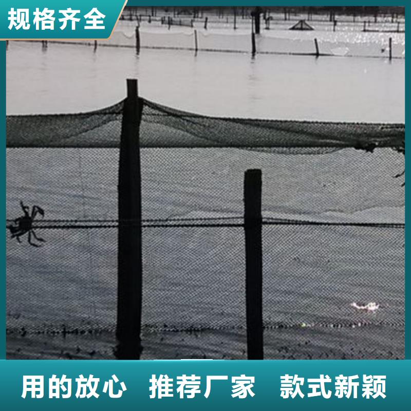 阳澄湖大闸蟹视频-海林|东宁|绥化|哈尔滨|齐齐哈尔|鹤岗阳澄湖大闸蟹品质之选-阳澄湖镇岛顾记大闸蟹经营部(牡丹江市分公司)