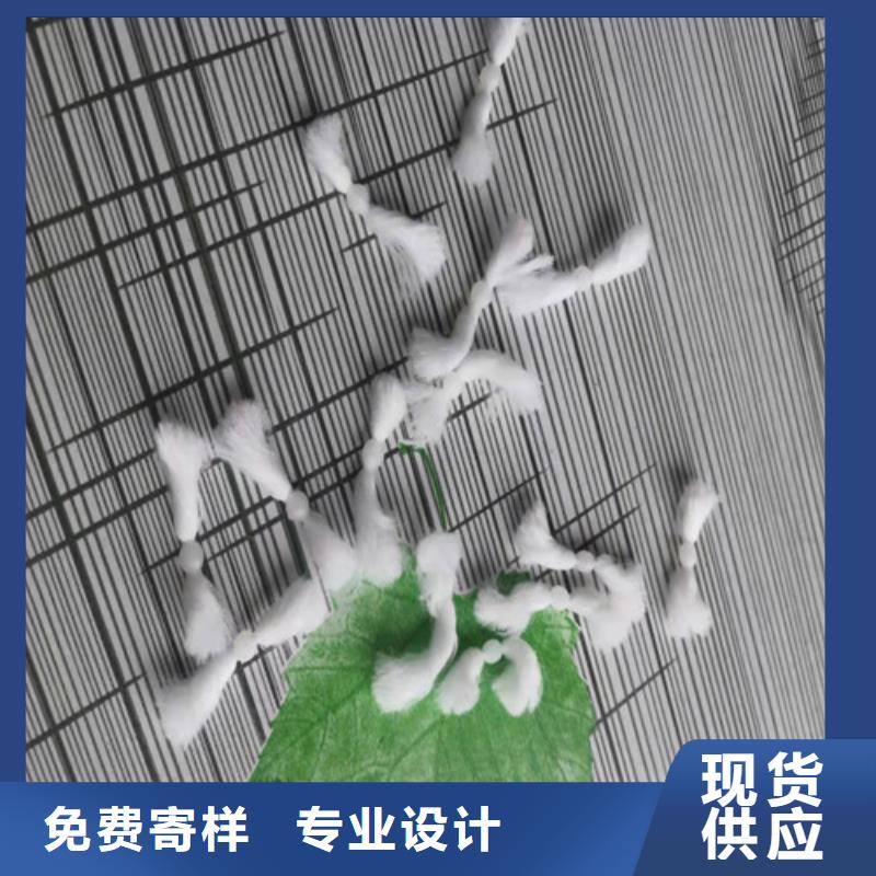 水处理填料椰壳活性炭保障