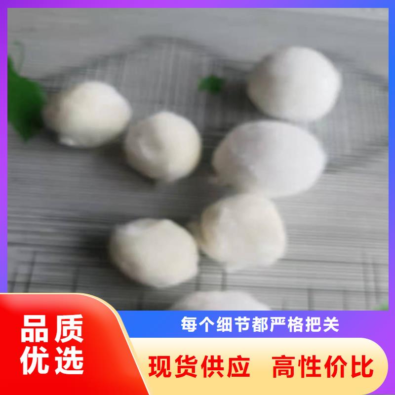 水处理填料椰壳活性炭保障