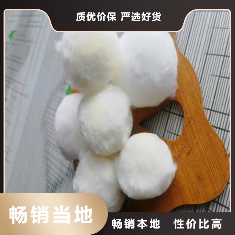 水处理填料活性炭符合行业标准