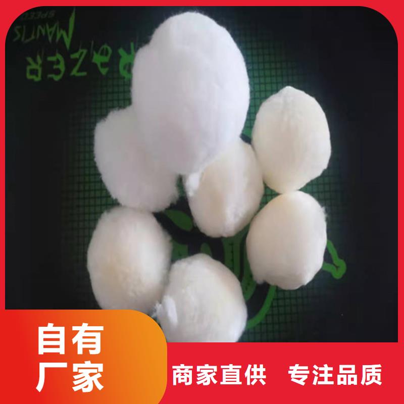 水处理填料氨氮去除剂设备齐全支持定制