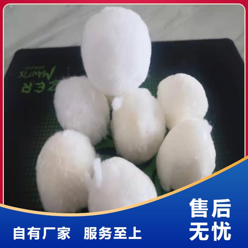 水处理填料椰壳活性炭保障