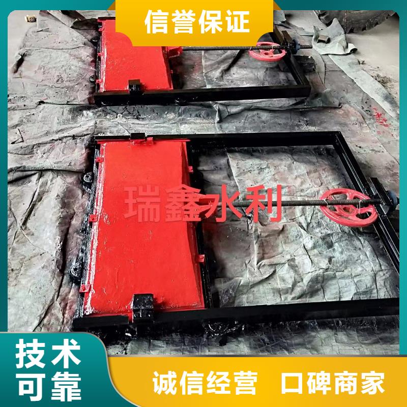 铸铁镶铜闸门-平面闸门带直联启闭机终身维护