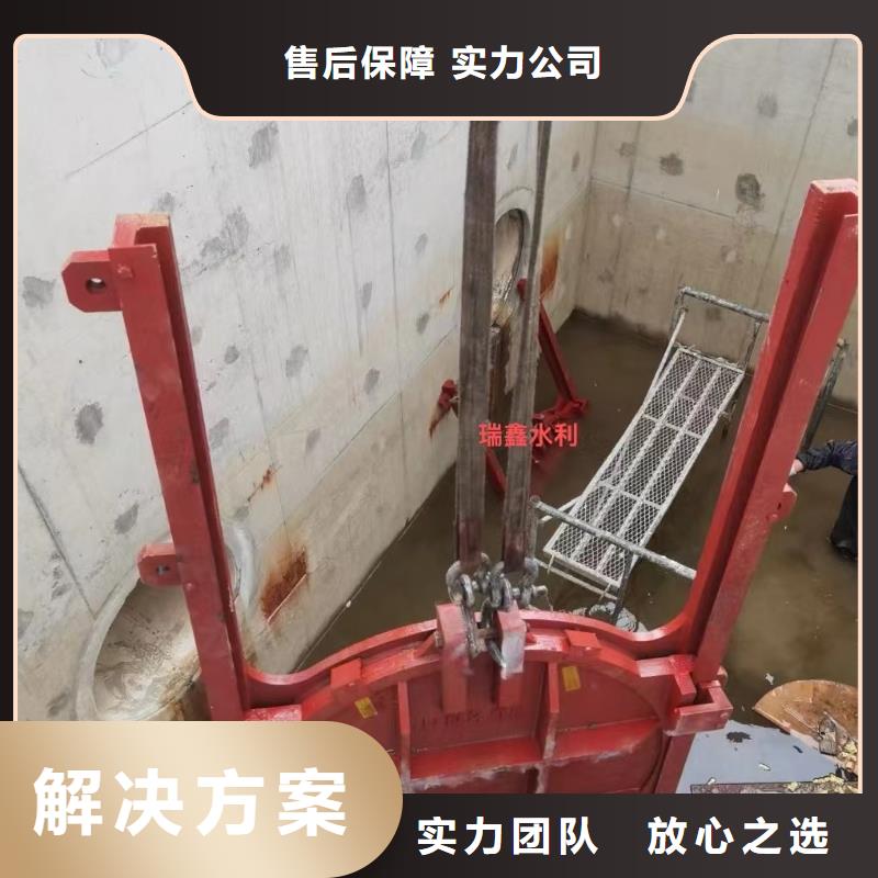 启闭机闸门-闸门与启闭机终身维护