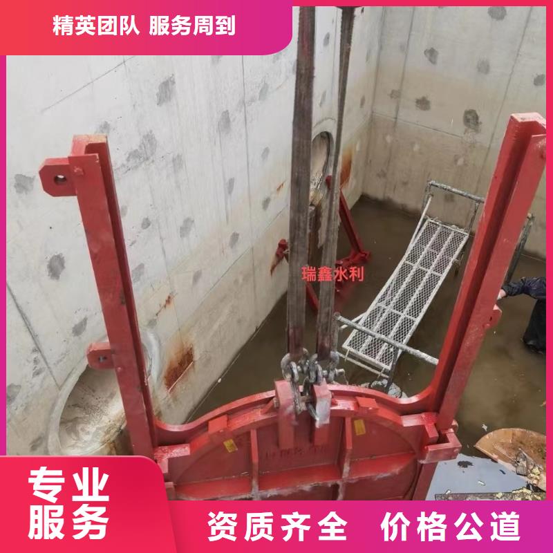 平面拱形闸门优惠中