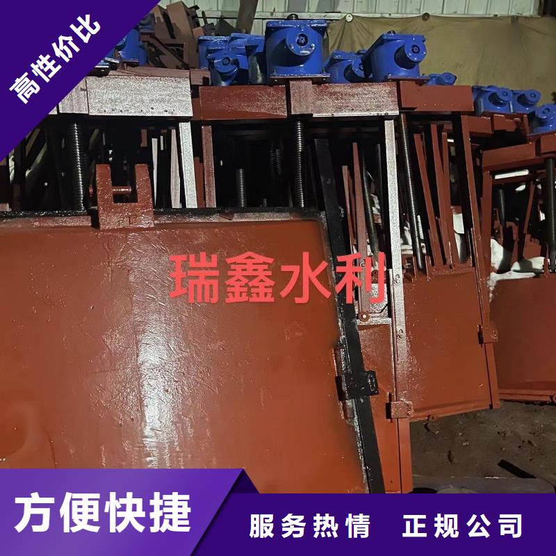 河道铸铁闸门-PZ双向止水铸铁镶铜闸门老牌