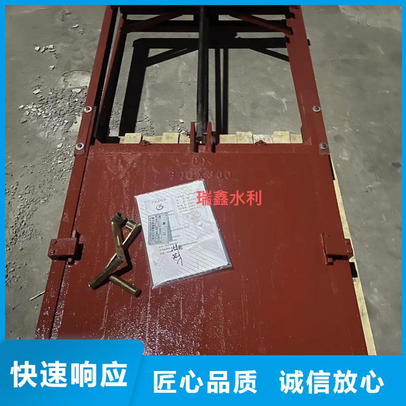 铸铁闸门-水电站闸门技术领先