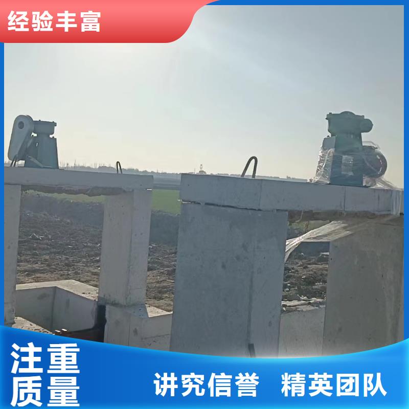 启闭机闸门-水电站闸门源头厂家