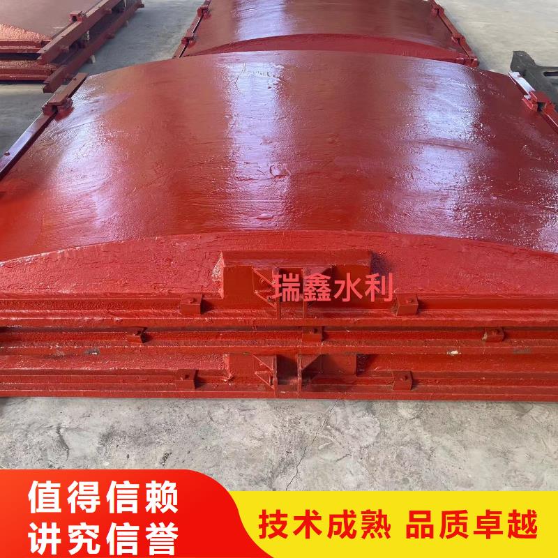 铸铁镶铜闸门-平面闸门带直联启闭机终身维护