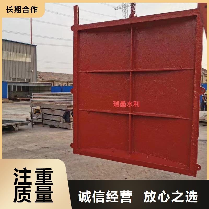 铸铁镶铜附壁闸门口碑-瑞鑫启闭机铸铁闸门清污机钢闸门拍门水工机械厂