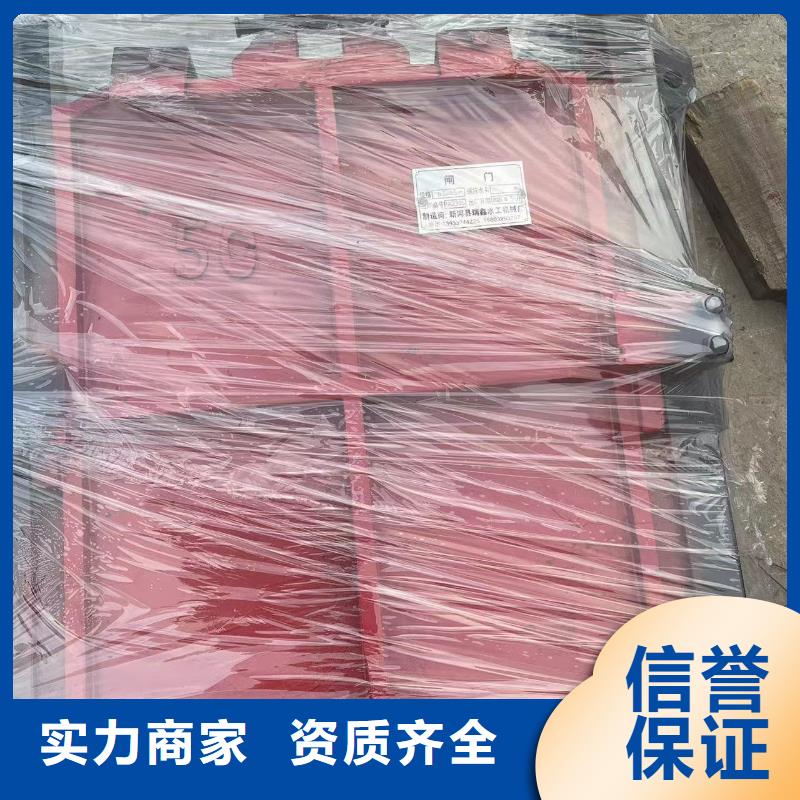 河道铸铁闸门-闸门启闭器品质卓越