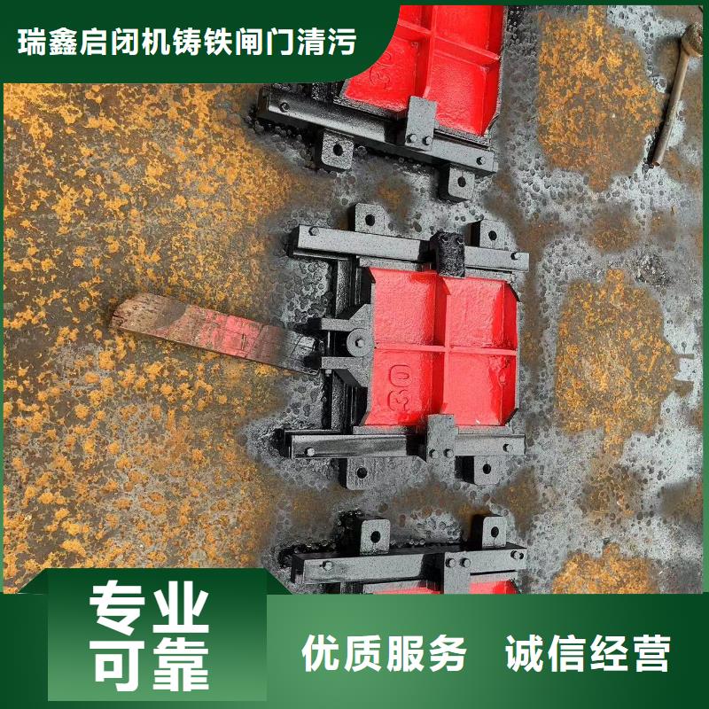 铸铁闸门-平面闸门带直联启闭机服务贴心