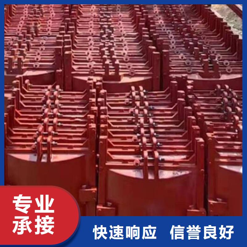 河道铸铁闸门-PZ双向止水铸铁镶铜闸门老牌