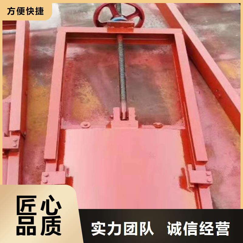 选铸铁闸门【无中间商】