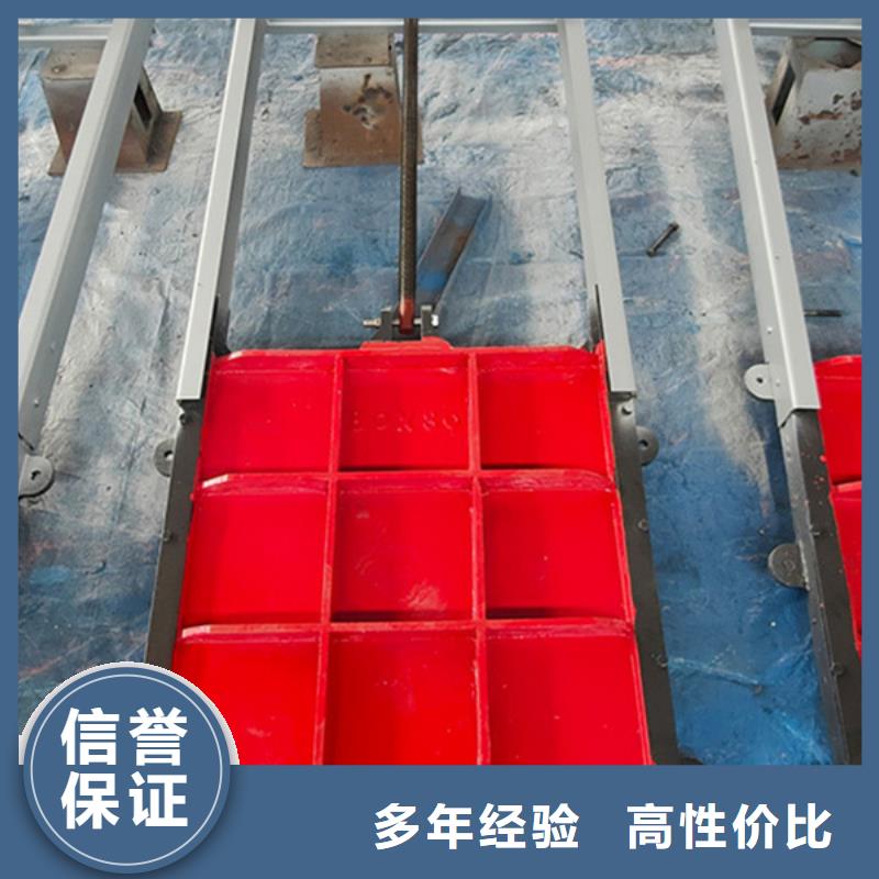渠道闸门-水道闸门自动化