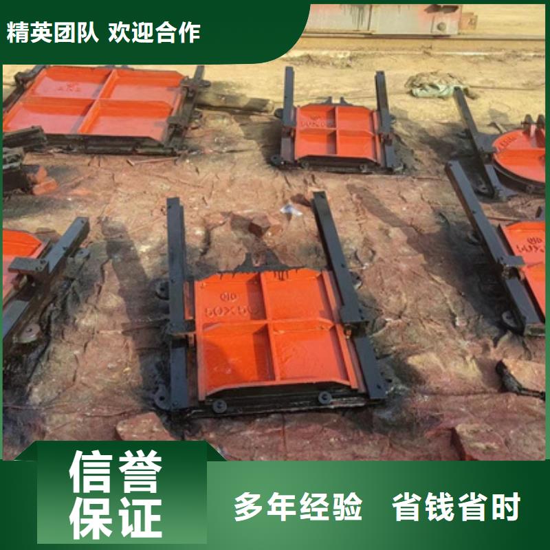 机门一体铸铁闸门厂家服务完善