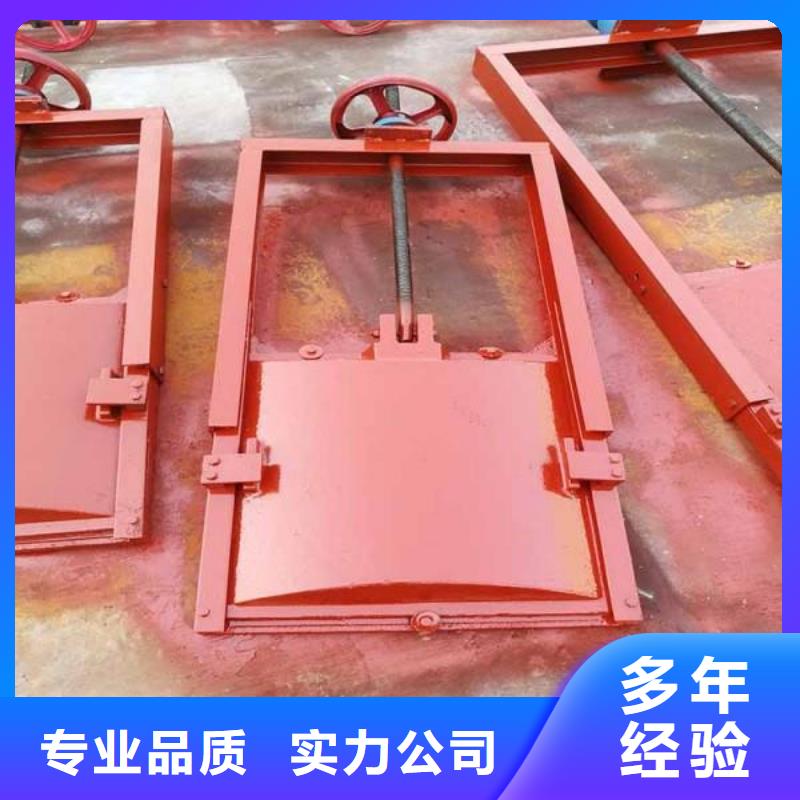 河道铸铁闸门-双止水铸铁闸门环保型