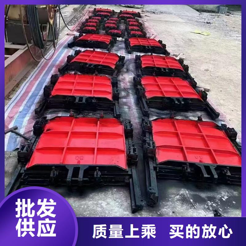 启闭机闸门-河灌区闸门靠谱