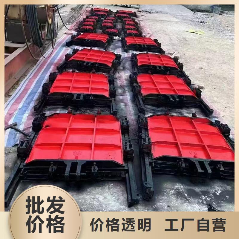 铸铁闸门-p型止水带闸门水封免费安装调试