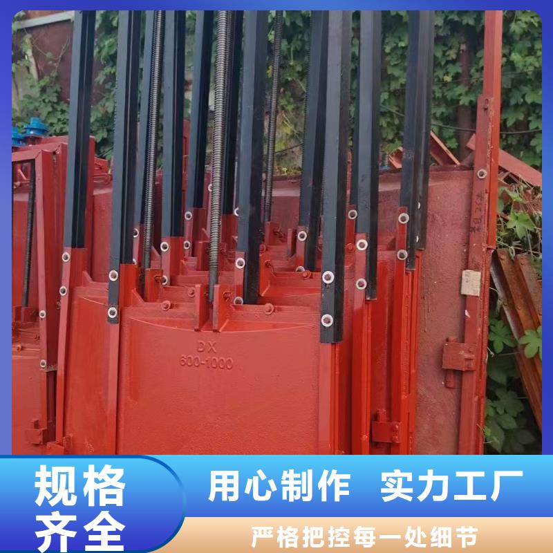 经验丰富的铸铁镶铜闸门供货商