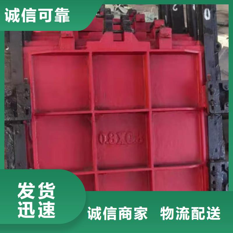 启闭机闸门-双向铸铁镶铜闸门源头厂家